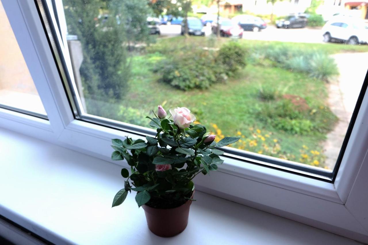 Jaukus Koko Butas 1 Aukste Apartman Kaunas Kültér fotó